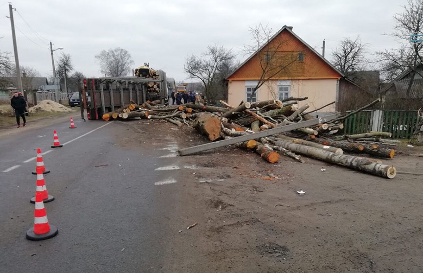 Новые подробности трагедии в Ружанах: водитель лесовоза задержан