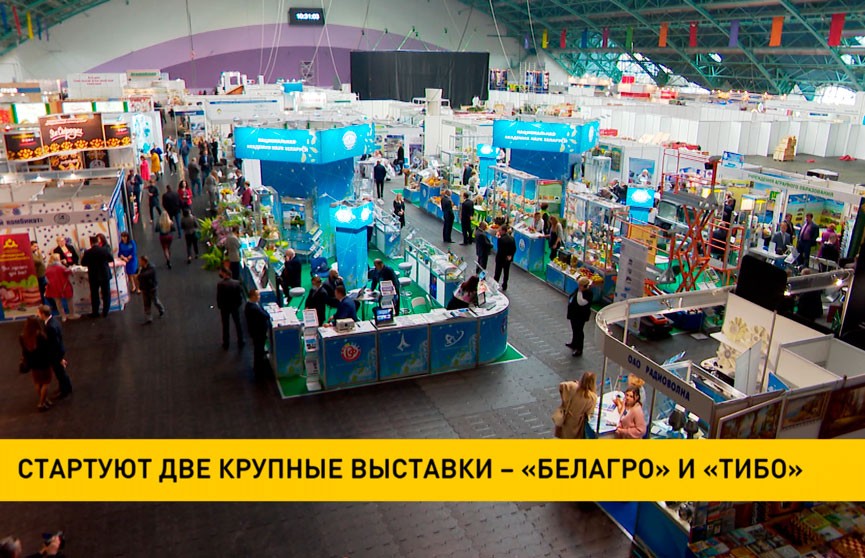 Выставка «Белагро-2021» и «ТИБО-2021»: рекордное количество участников и 200 новинок от белорусских производителей