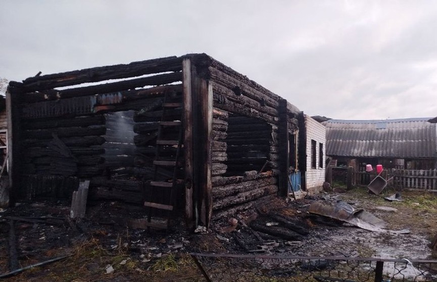 МЧС: двое мужчин погибли на пожаре в Городокском районе