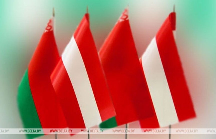 Посол Беларуси в Австрии вручил верительные грамоты Федеральному президенту страны Александру Ван дер Беллену