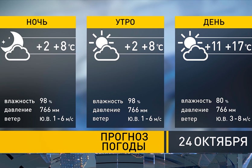 До +20°С и без осадков. Прогноз погоды на 24 октября