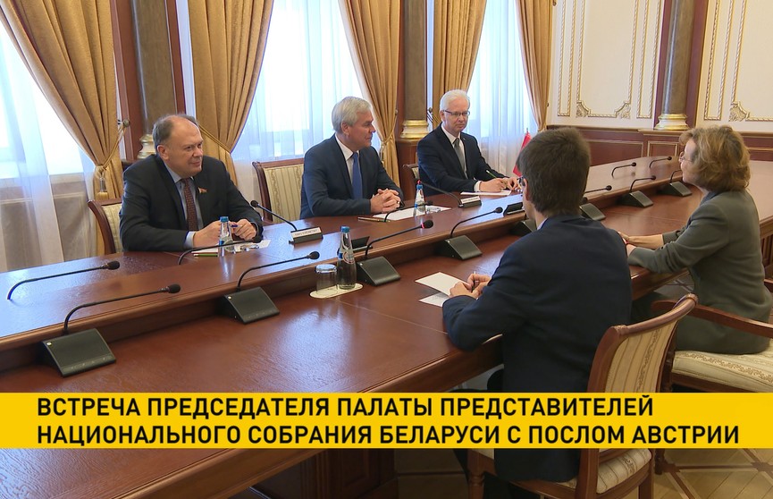 Владимир Андрейченко провел переговоры с послом Австрии в Беларуси