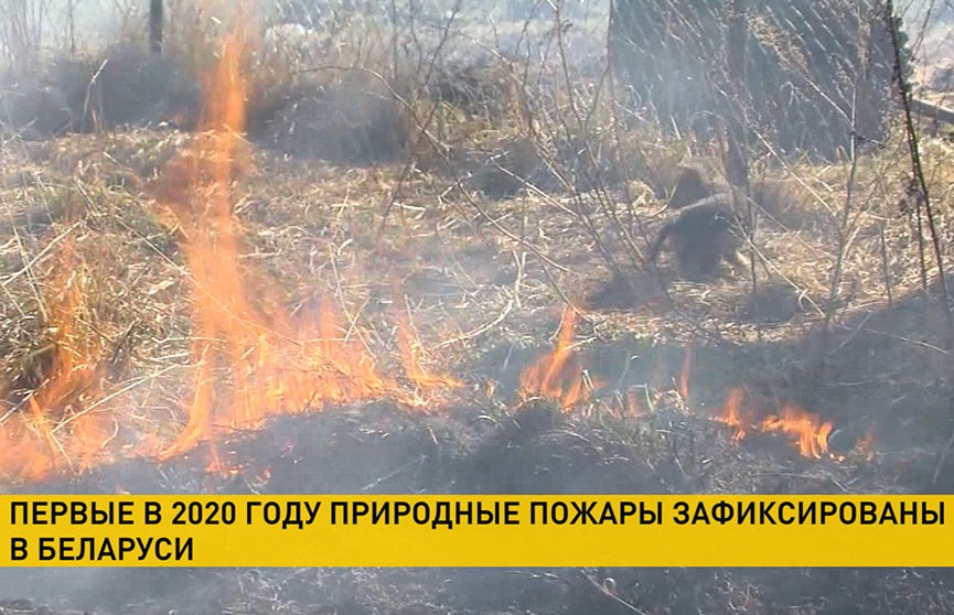 Первые в 2020 году природные пожары зафиксированы в Беларуси в феврале