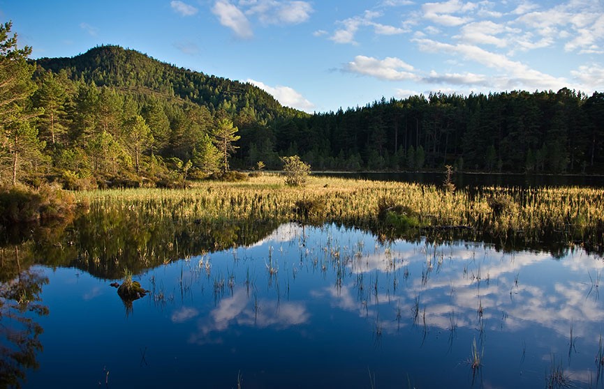 На дне шотландского озера учёные обнаружили древние руины
