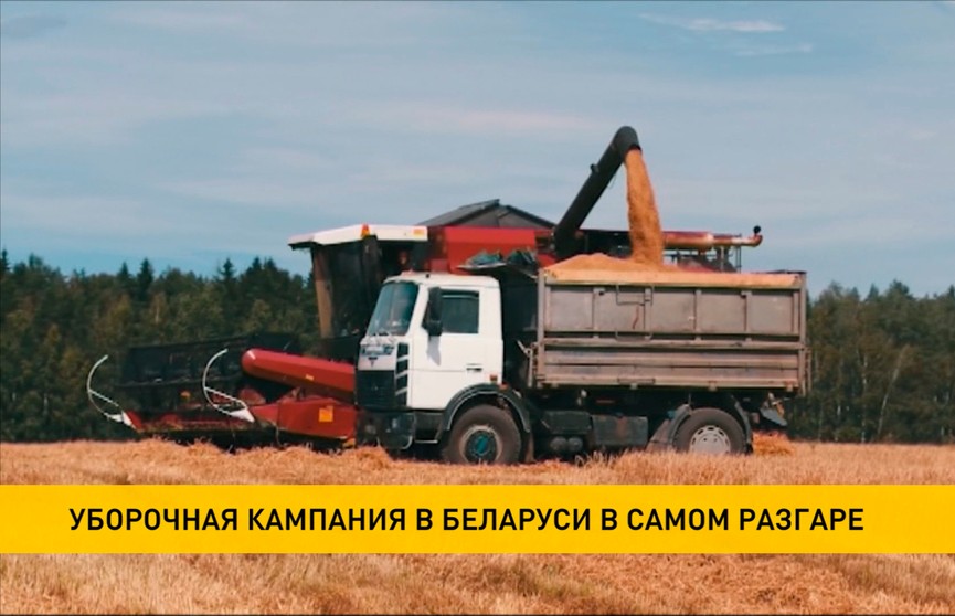 Первый миллион тонн зерна уже в закромах