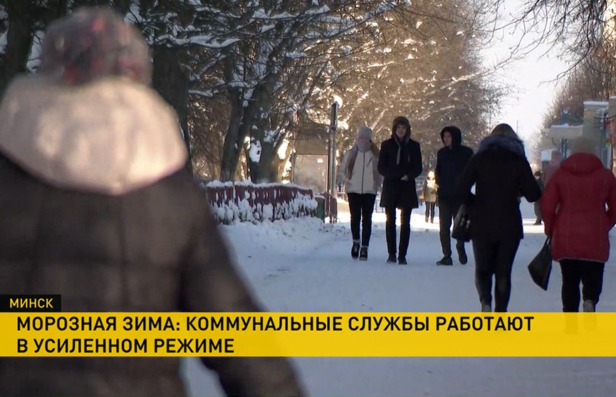 Температура воздуха в Беларуси была на 12°С градусов ниже нормы. Каковы последствия?