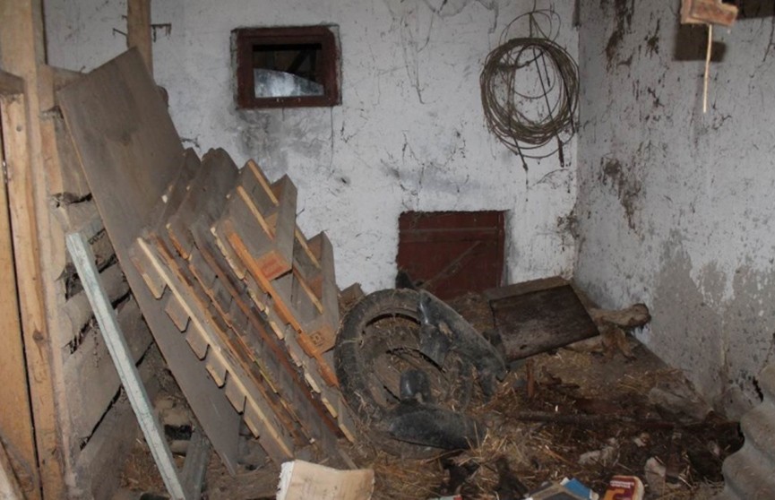 Житель Берестовицкого района обнаружил в хозпостройке ящик с 700 патронами