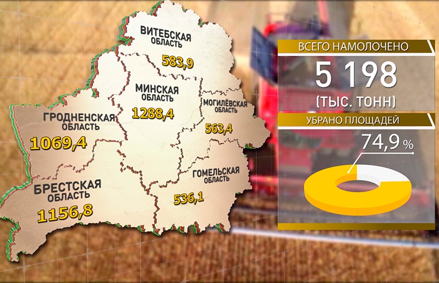 Белорусским аграриям осталось убрать четверть площадей зерновых