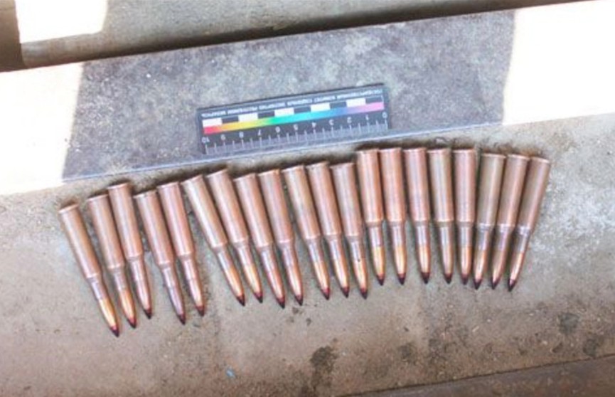 Археолог-любитель обнаружил 440 патронов для стрелкового оружия в заброшенной деревне в Островецком районе