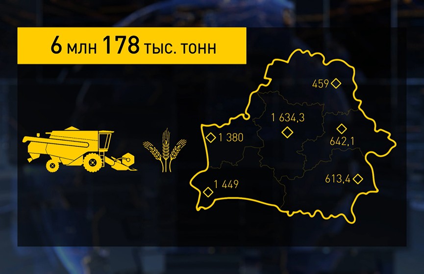 Уборочная-2024: аграрии намолотили более 6 млн 100 тыс. тонн зерна