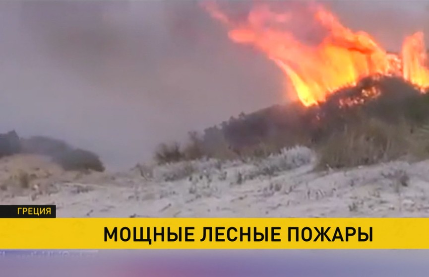 Лесные пожары в Греции: сгорело более 2000 гектаров растительности