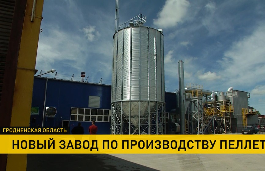 Новый завод по производству пеллет открыли под Новогрудком