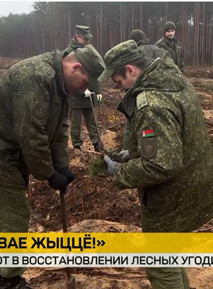 Белорусские военные присоединились к акции «Дай лесу новае жыццё!»