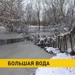 Жители Гомельской и Брестской областей страдают из-за паводков