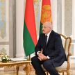«В последние годы мы сблизили наши страны» – Лукашенко провел с Додоном переговоры в формате видеоконференции