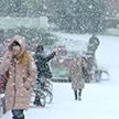 В Минске выпал снег, а в Витебске продолжается многочасовая метель