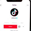 Александр Лукашенко рассказал про первые шаги Беларуси в TikTok