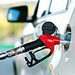 Опрос «Белнефтехим»: Как повышать цены на бензин?