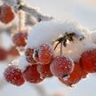 Стремительное похолодание! Синоптики рассказали, когда ждать сильные морозы