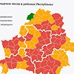 Запреты и ограничения посещения лесов – практически по всей Беларуси