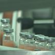 Отечественный производитель вакцин для животных «Белвитунифарм» выпустит новые востребованные препараты: спрос на белорусское растёт