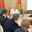 Лукашенко: средняя зарплата по стране к концу пятилетки $700-800 – неплохо, а $1000 – прекрасно