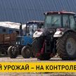 Урожай на контроле: за ходом посевной следят в КГК Беларуси