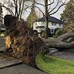 Сильный шторм обставил без света более 300 тысяч домов в Канаде