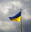 National Post: Украина приостановила набор наемников из-за нехватки огнестрельного оружия