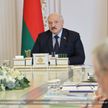 Лукашенко: Белорусская АЭС сэкономила для страны уже более $400 млн