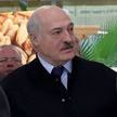 Лукашенко поручил продумать шаги в развитии рыбоводства с учетом фактора БНБК