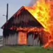В Витебской области в огне погибли 29 телят