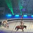 Акробат упал под копыта лошади в московском цирке (Видео)