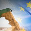 Вывоз зерна из Украины: кто будет виноват в надвигающемся на Африку голоде и что будет со следующим урожаем?