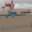 Энергия партнерства: каковы перспективы строительства второй белорусско-российской АЭС