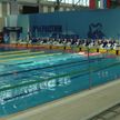 В Бресте продолжается Открытый Кубок Беларуси по плаванию. Анастасия Шкурдай выиграла золото