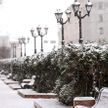 Высокая влажность, мокрый снег и неприятный ветер: прогноз погоды в Беларуси на 27 января