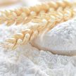 На вывоз пшеничной муки в Беларуси установлен временный запрет