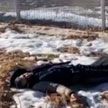 На участке белорусско-польской границы в Пружанском районе обнаружено тело беженца