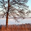 Сильный ветер, возможна метель: оранжевый уровень опасности объявлен в Беларуси на 7 марта