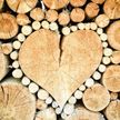 Какие виды дров подойдут для печки и что делать, чтобы правильно подготовиться к отопительному сезону?