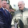 Лукашенко: Каждый глава семьи должен уметь защитить своих близких и свою землю. Итоги совещания по территориальной обороне
