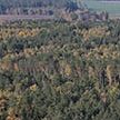 В Беларуси ограничены к посещению все леса