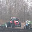 Как в Беларуси проходят весенне-полевые работы