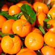 Беларусь сняла эмбарго на ввоз некоторых овощей и фруктов