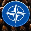 Профессор США: НАТО несет огромный ущерб на Украине