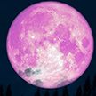 Розовая Луна 2020: жители Земли смогут наблюдать редкое явление в небе в ночь с 7 на 8 апреля