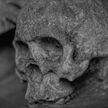 В Китае нашли окаменелые кости черепа древнего человека
