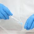 С 1 декабря начнется предклиническое испытание белорусской вакцины против COVID-19