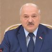 Лукашенко: опыт сотрудничества Беларуси с Россией должен быть востребован и притягателен для других стран